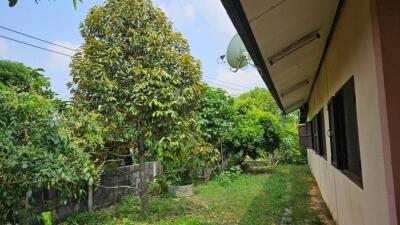 Spacious side yard of a house with lush greenery and satellite dish