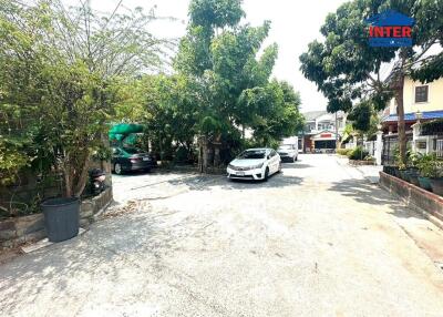 Suburban Street View with Cars and Trees