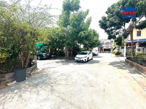 Suburban Street View with Cars and Trees