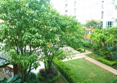 Lush green common space in a modern residential complex