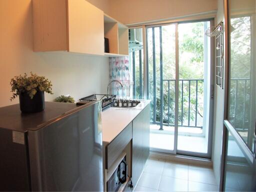 Modern kitchen with stainless steel appliances and garden view