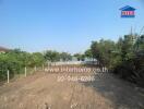 Spacious waterfront property with a clear view and potential for development