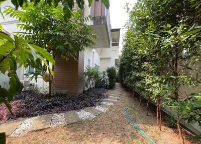 Lush garden pathway beside a modern suburban home