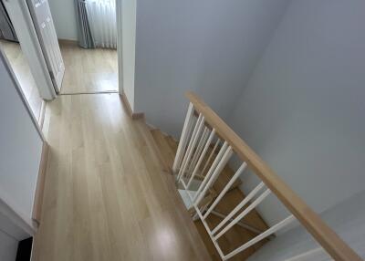 Modern hallway leading to rooms with light wood flooring and white railing