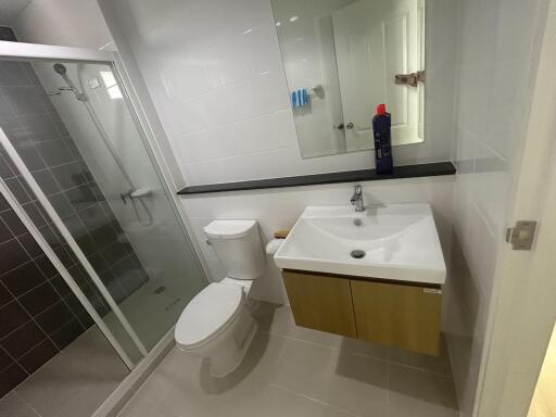 Modern bathroom with white ceramic fixtures and walk-in shower