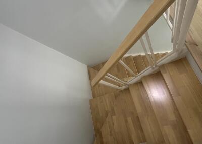 Interior view of a wooden staircase in a modern home