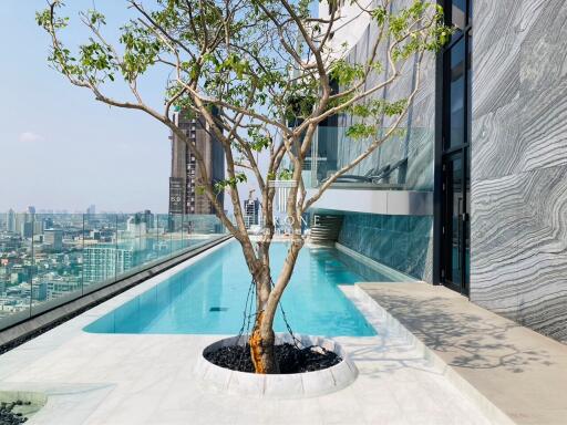Luxurious rooftop swimming pool with cityscape view and stylish tree decor