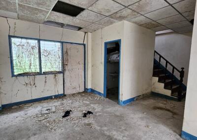 interior view of a dilapidated building with visible mold and damage