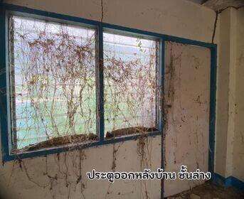 Abandoned room with overgrown plants and peeling walls