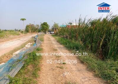 Rural road leading to property with surrounding greenery