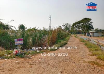 Rural land for sale with dirt road and greenery