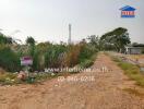 Rural land for sale with dirt road and greenery