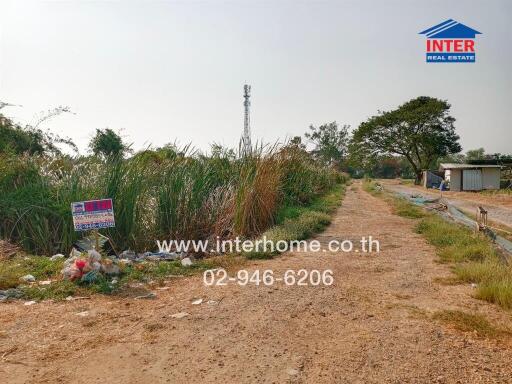 Rural land for sale with dirt road and greenery