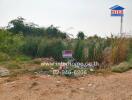 Vacant land plot with visible overgrowth and debris, real estate sign present