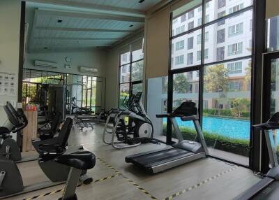 Condo for Sale, Rent at DCondo Nim