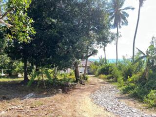 Tropical garden path leading to a seaside home