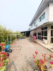 House for Rent, Sale in Ban Waen, Hang Dong.