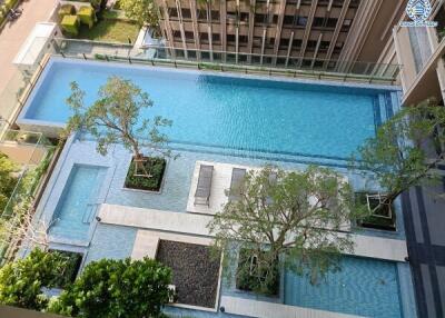 Aerial view of a swimming pool surrounded by trees in a modern apartment complex