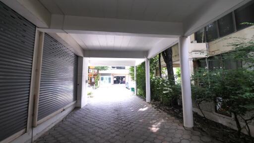 Shaded walkway leading towards a building entrance flanked by greenery