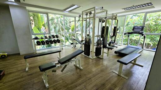 Home gym with modern equipment and natural views