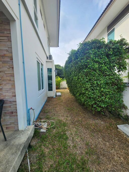 Narrow side yard of a residential home with lush greenery and pathway