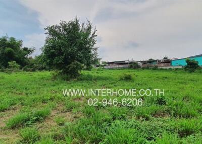 Expansive green land available for development with clear skies and lush surroundings