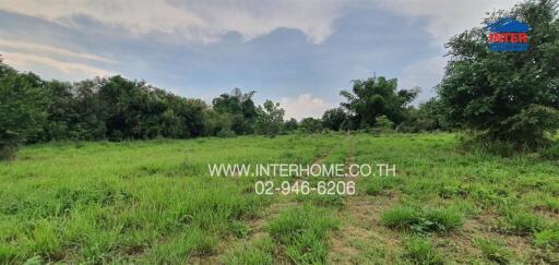 Spacious green land for sale with lush trees at the background under a clear sky