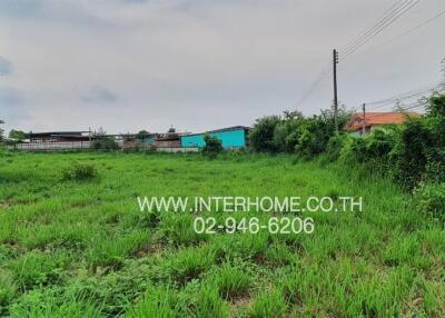 Spacious green outdoor lot available for development or landscaping with a clear skyline and underdeveloped areas nearby