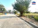 Quiet residential street in suburban neighborhood with greenery