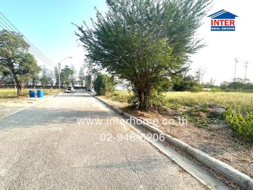 Quiet residential street in suburban neighborhood with greenery