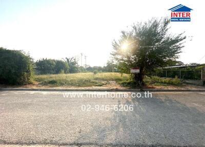 Vacant land plot with for sale sign along roadside