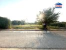 Vacant land plot with for sale sign along roadside