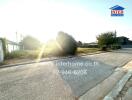 Sunlit street view of a residential area with visible property signage