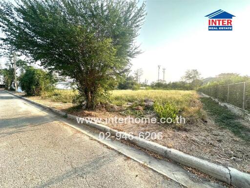 Residential land with trees and paved road under clear sky