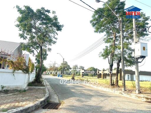 Peaceful suburban street view with trees and clear skies