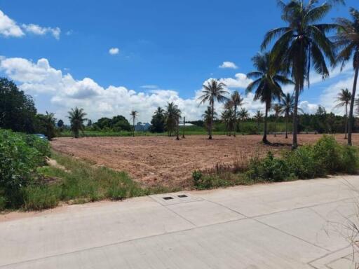 Spacious agriculture land with clear sky and lush greenery