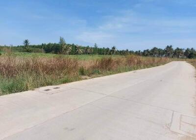 Rural road adjacent to undeveloped land with clear skies