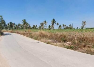 Scenic outdoor view of an empty land with palm trees and a clear sky