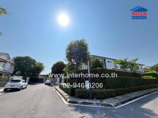 Peaceful street view of a residential area with modern homes and lush greenery, under a clear blue sky