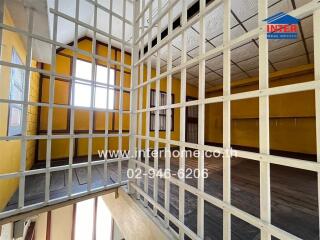 Spacious and bright empty living area with distinctive white grid partitions