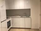 Modern minimalist kitchen with built-in appliances