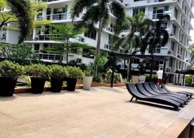 The Waterford Sukhumvit 50 - 2 Bed Condo for Rent *WATE11592