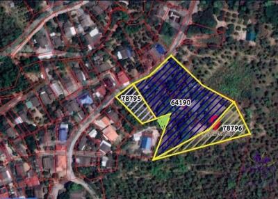 Land on top of a hill for sale 7 Rai 1 Ngan 53 sqw Sanpatong Chiangmai View of Doi Inthanon and Doi Suthep