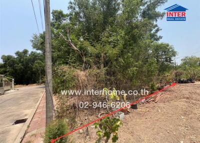 Vacant land with overgrown vegetation and partially paved road