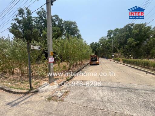 Street view with green trees and parked car