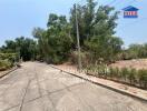 Quiet residential street with surrounding greenery and vacant lot