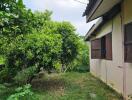 Side view of a house with lush green garden