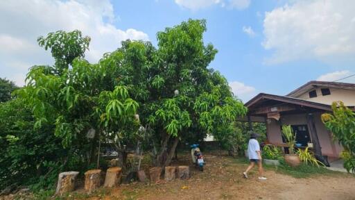 Exterior view of a residential house with lush garden