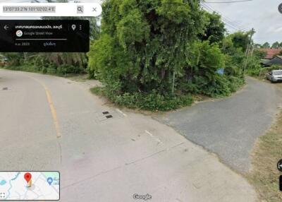 Street view featuring road and greenery