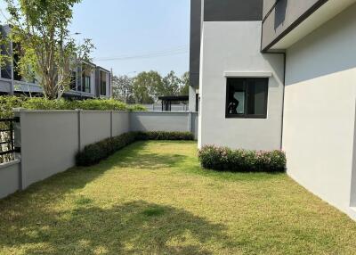 Modern outdoor garden beside a residential building